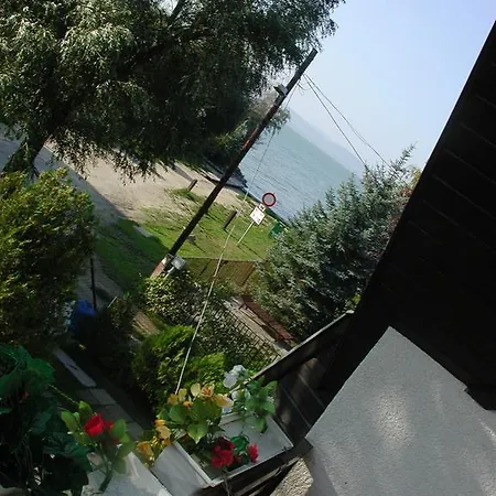 Fecske *