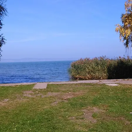 Fecske Apartment *